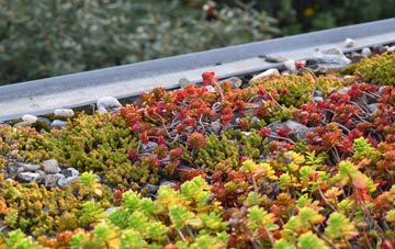 the cost of Aldborough Hatch green roof installation