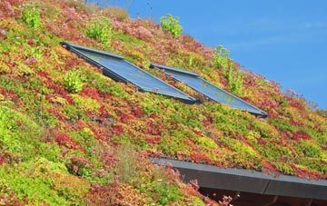 Aldborough Hatch living roof systems