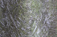 Aldborough Hatch fibreglass roof work